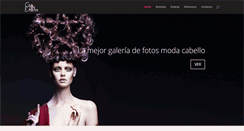 Desktop Screenshot of guiadelestilista.com